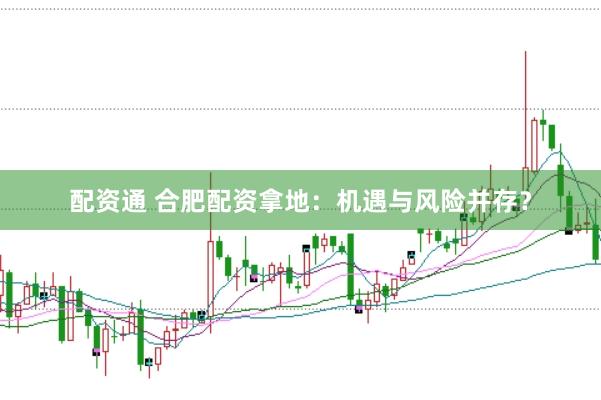 配资通 合肥配资拿地：机遇与风险并存？