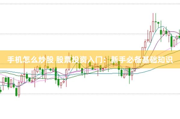 手机怎么炒股 股票投资入门：新手必备基础知识