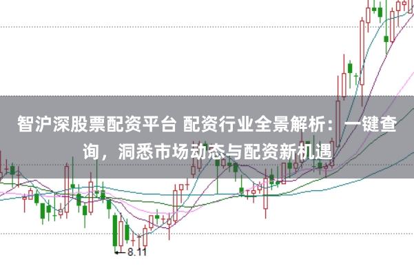 智沪深股票配资平台 配资行业全景解析：一键查询，洞悉市场动态与配资新机遇