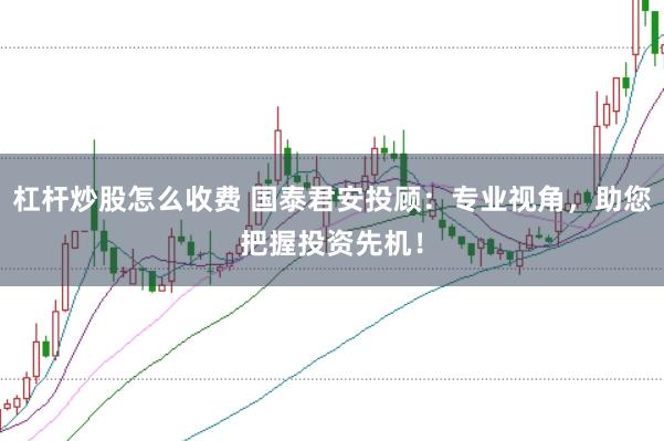 杠杆炒股怎么收费 国泰君安投顾：专业视角，助您把握投资先机！
