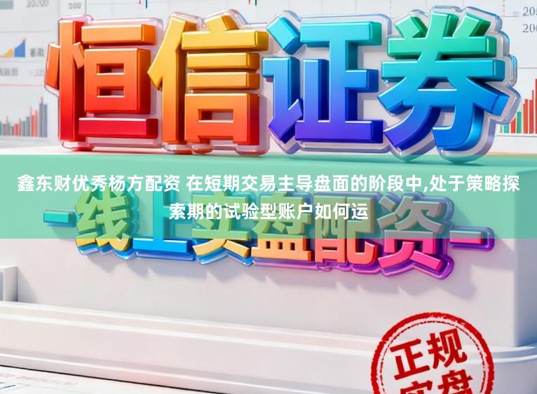 鑫东财优秀杨方配资 在短期交易主导盘面的阶段中,处于策略探索期的试验型账户如何运