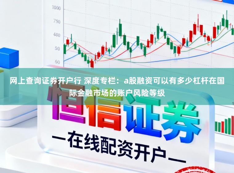 网上查询证券开户行 深度专栏：a股融资可以有多少杠杆在国际金融市场的账户风险等级